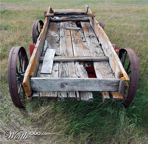 Photography by Lmorrow57