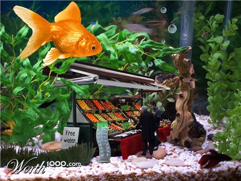 Photoshop Design by maguro