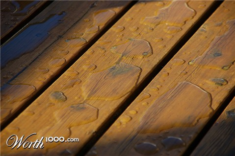 Photography by Exlex74