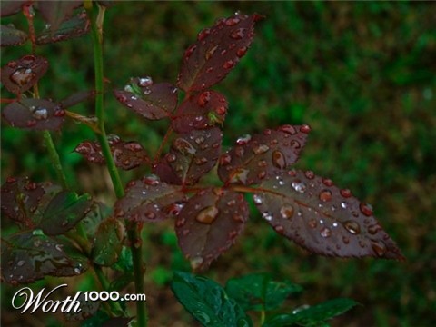 Photography by Eirita