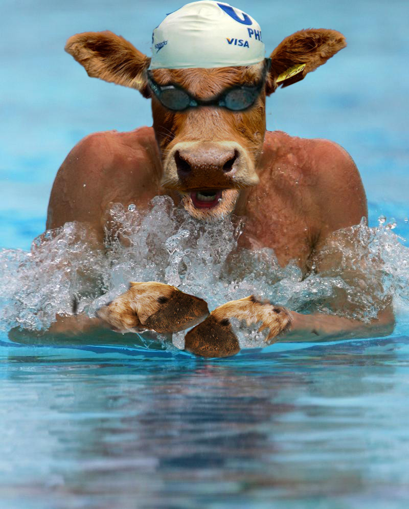 Diseño de Photoshop por depinve para DesignCrowd (Community Contests) | Diseño #8964457