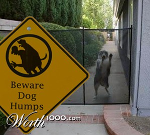 Photoshop Design by Smgkw123