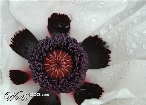 Photography by Roel1969