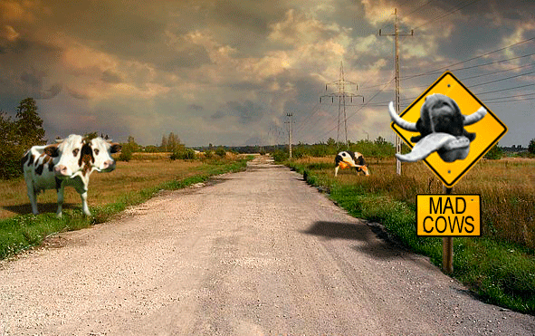 Photoshop Design by sszuwar for DesignCrowd (Community Contests) | Design #8964612