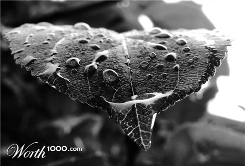 Photography by pwis0807