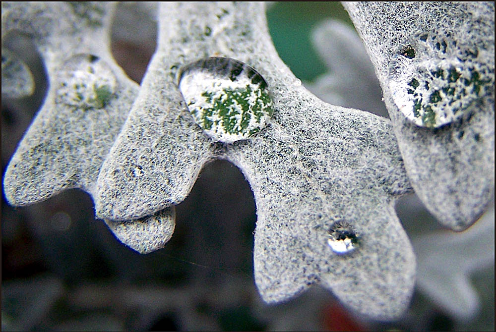 Photography by vpravda for DesignCrowd (Community Contests) | Design #8965236