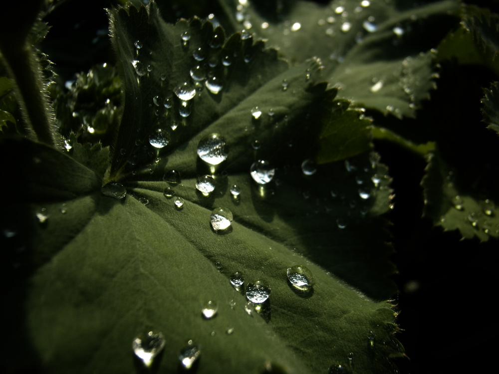 Fotografía por 0kuper0 para DesignCrowd (Community Contests) | Diseño #8965193