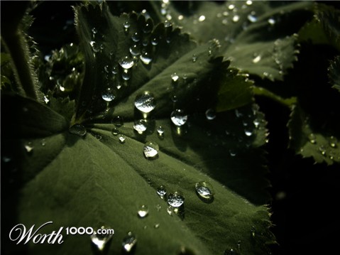 Photography by 0kuper0