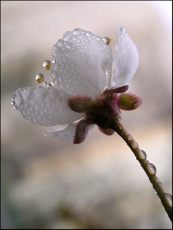 Fotografie von mzmzmzmz für DesignCrowd (Community Contests) | Design #8965151