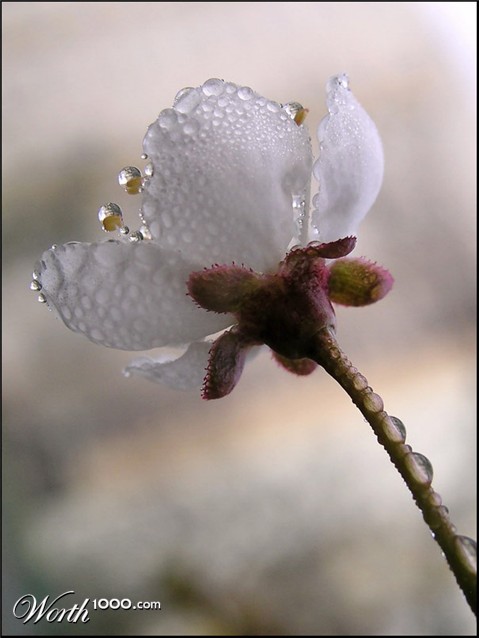 Photography by mzmzmzmz