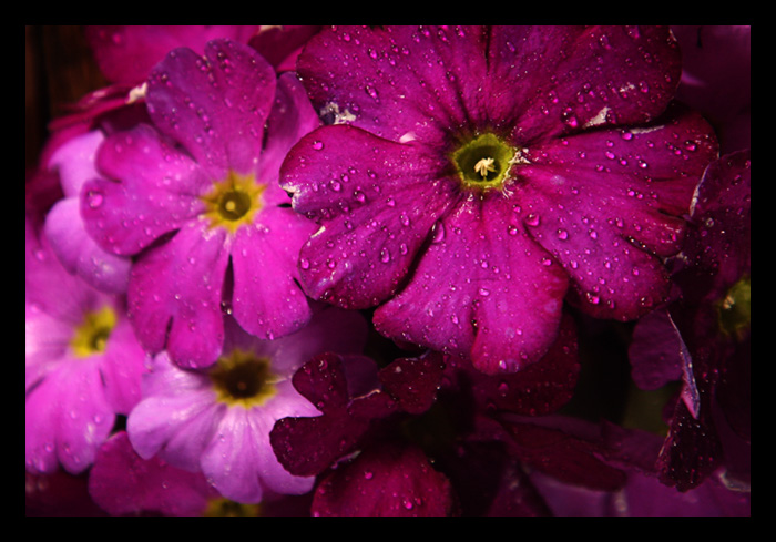 Photography by MrPepo for DesignCrowd (Community Contests) | Design #8965213
