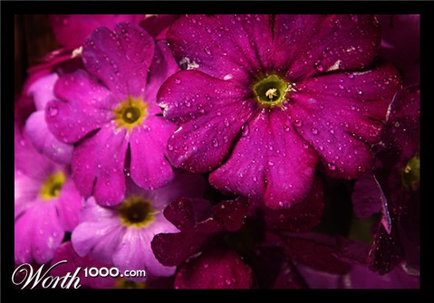 Photography by MrPepo