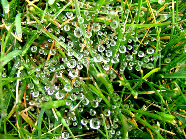 Fotografía por CherryPicn para DesignCrowd (Community Contests) | Diseño #8965196