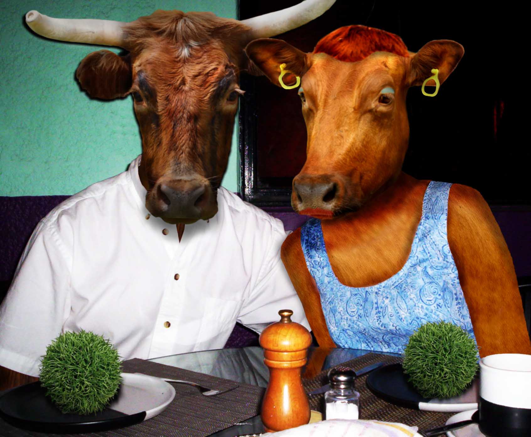 Diseño de Photoshop por katieanne para DesignCrowd (Community Contests) | Diseño #8964499