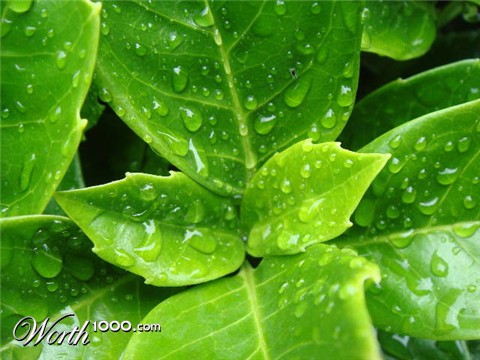 Photography by JoneSyMouSeY