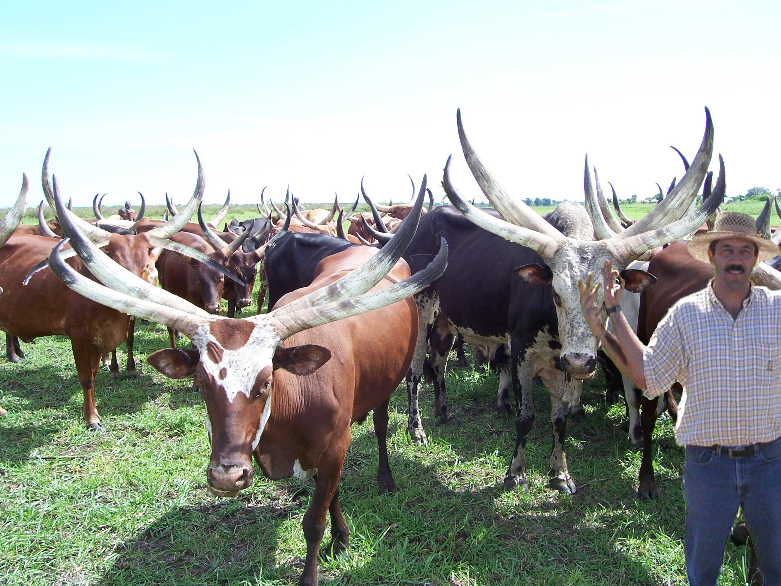 Photoshop Design by Simplex for DesignCrowd (Community Contests) | Design #8964115