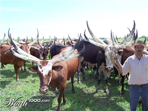 Photoshop Design by Simplex