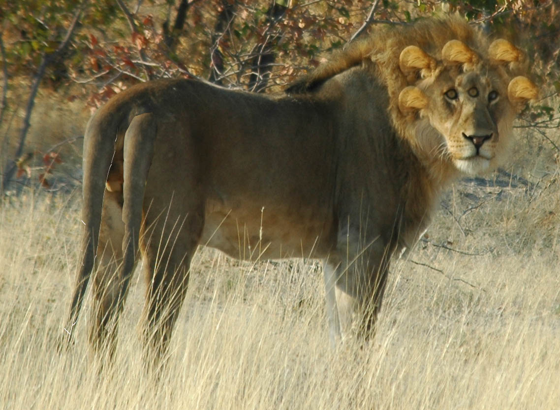 Photoshop Design by Mmbikj1 for DesignCrowd (Community Contests) | Design #8964165