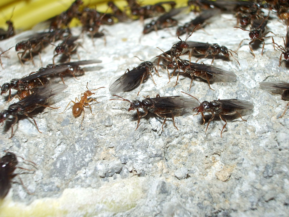 Photography by franl259 for DesignCrowd (Community Contests) | Design #8964662