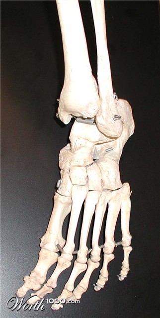 Photoshop Design by doublexl