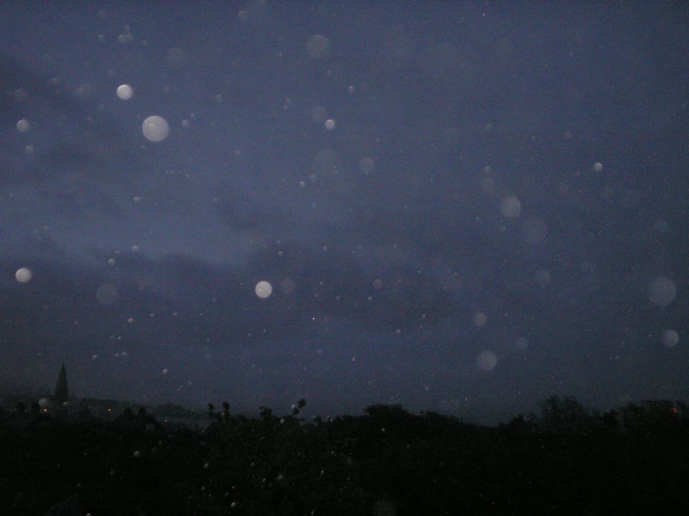 Fotografie von monkeyface88 für DesignCrowd (Community Contests) | Design #8968010