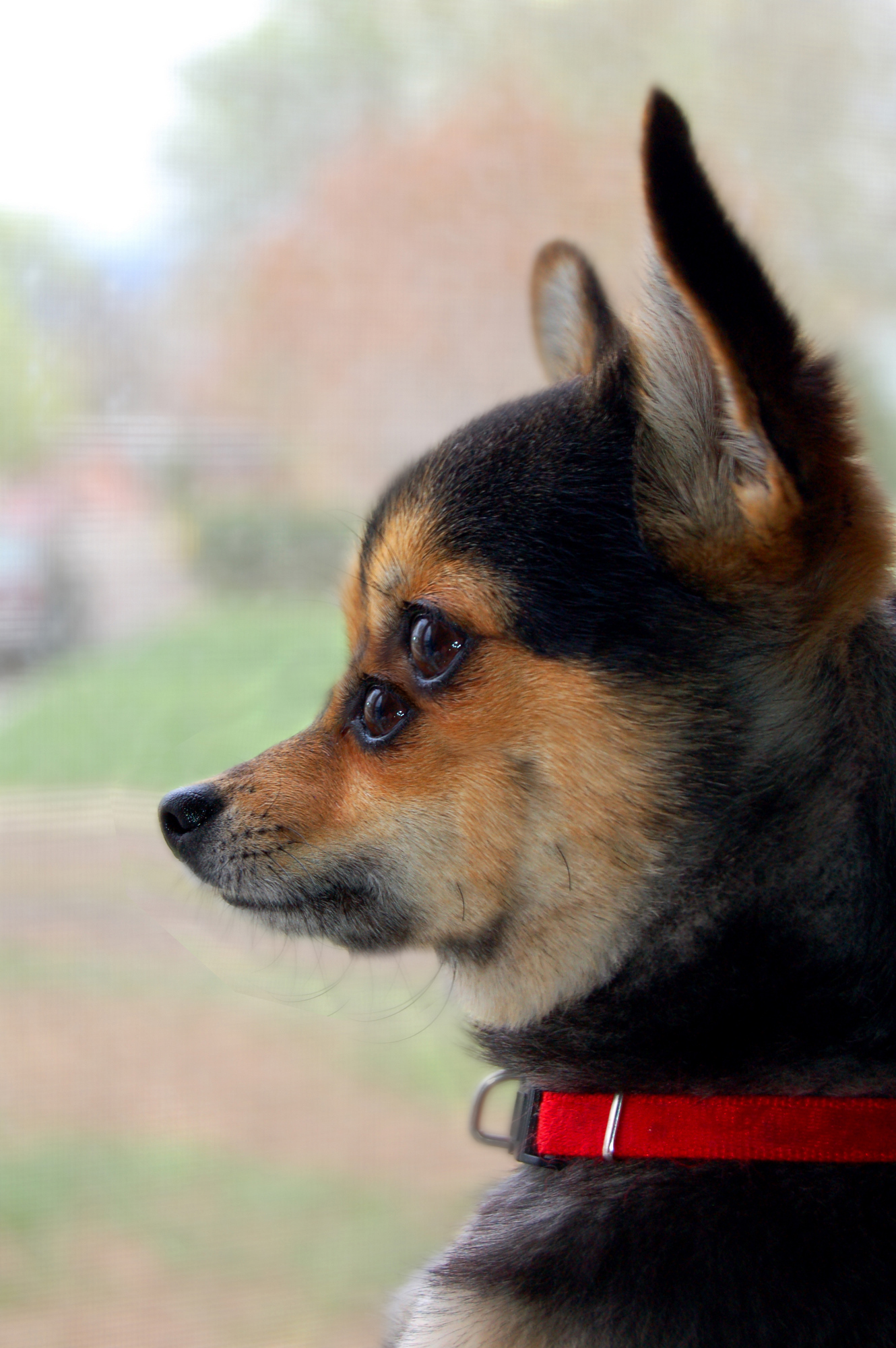 Photoshop Design by wendyrulkens for DesignCrowd (Community Contests) | Design #8964231