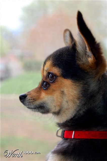 Photoshop Design by wendyrulkens