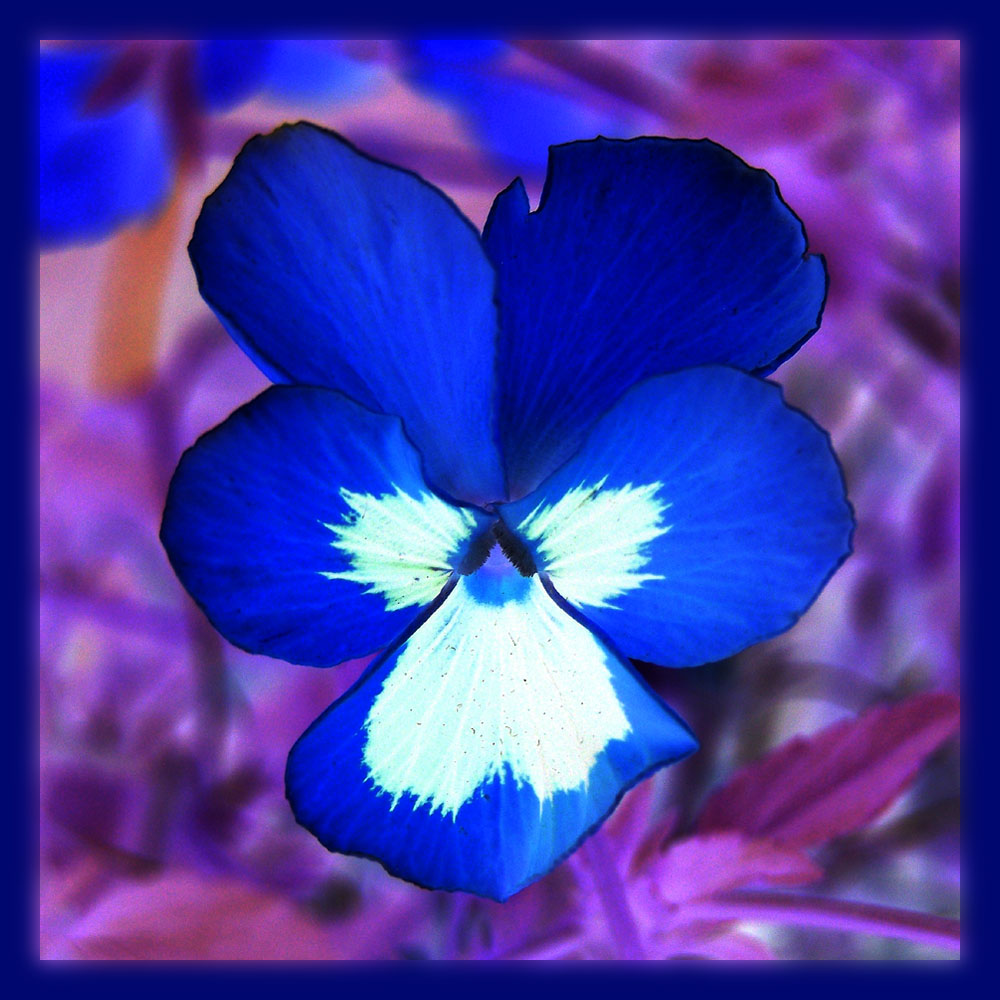 Photography by vpravda for DesignCrowd (Community Contests) | Design #8968017