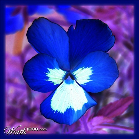 Photography by vpravda