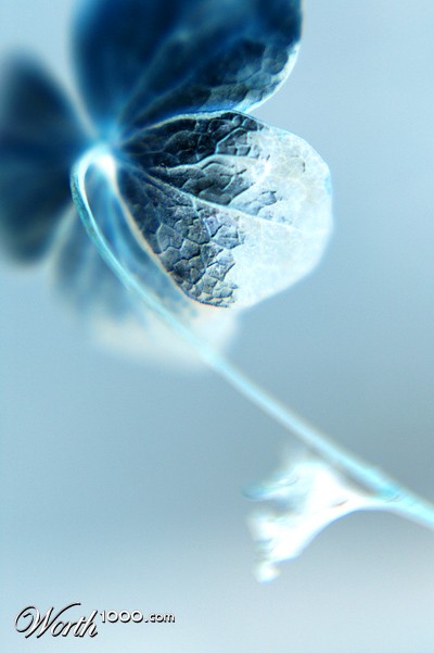 Photography by Wytske