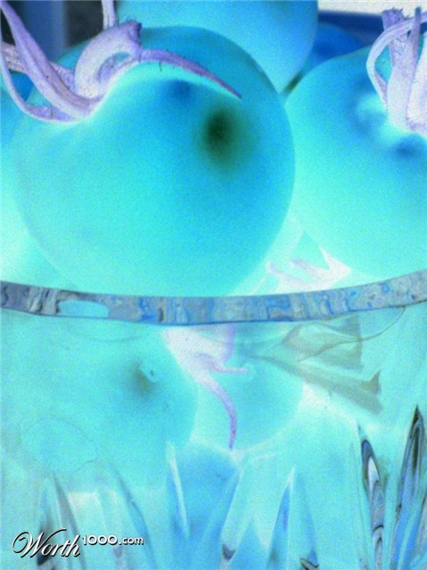 Photography by monkeyface88