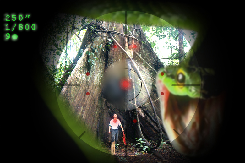 Photoshop Design by Junnoir for DesignCrowd (Community Contests) | Design #8963615