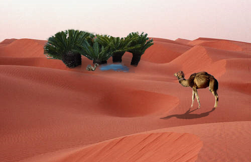 Photoshop Design by ivan123 for DesignCrowd (Community Contests) | Design #8966607