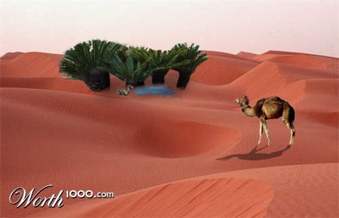 Photoshop Design by ivan123