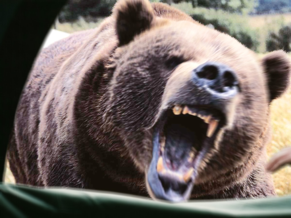 Photoshop Design by greenjesus for DesignCrowd (Community Contests) | Design #8963634