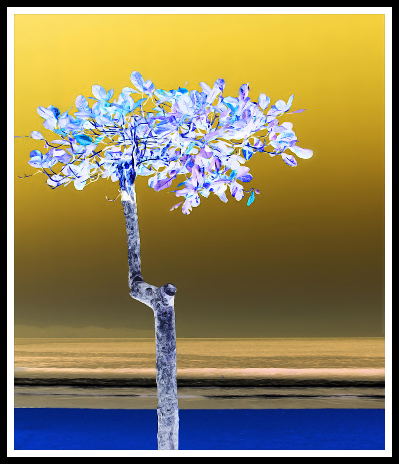 Photographie par Pr4ktic pour DesignCrowd (Community Contests) | Design #8968114