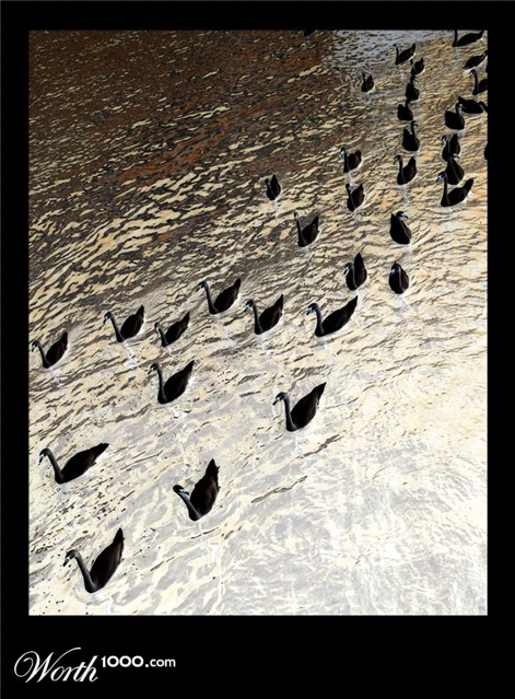 Photography by cemaydin