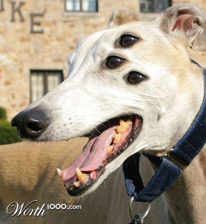 Photoshop Design by ilovekarate