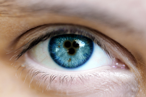 Photoshop Design by Sillyboi for DesignCrowd (Community Contests) | Design #8964464