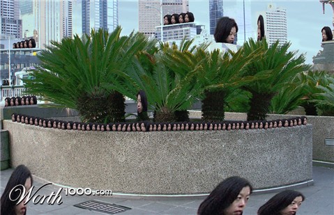 Photoshop Design by elgosso