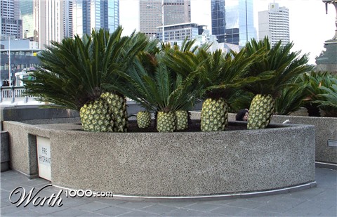 Photoshop Design by GutsAndGlory