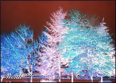 Photography by Isabella2006