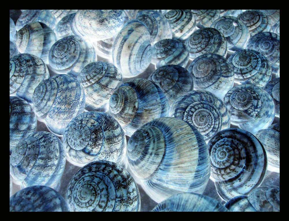 Photographie par wakevortex pour DesignCrowd (Community Contests) | Design #8968129