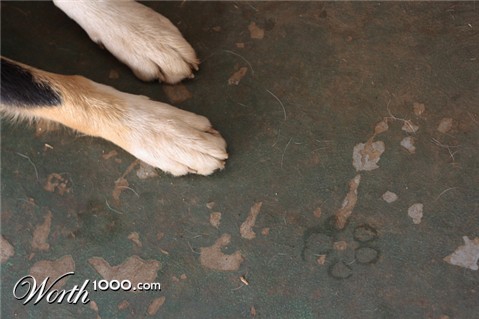 Photography by Awyrdo