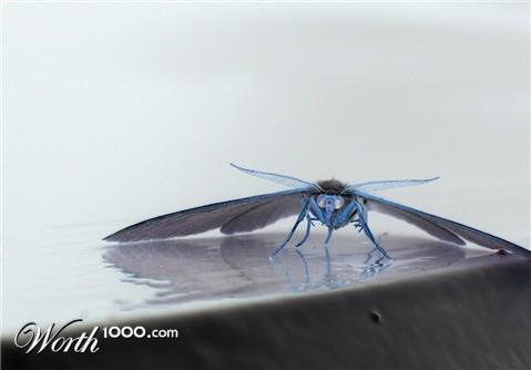 Photography by marcopolo23