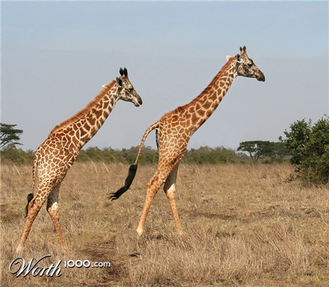 Photoshop Design by Fishwife