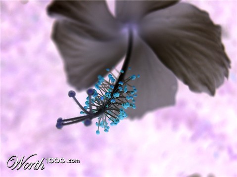 Photography by lokpal007