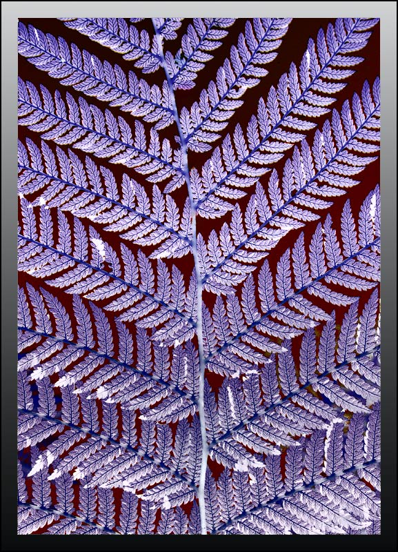 Fotografie von SigloV für DesignCrowd (Community Contests) | Design #8968136