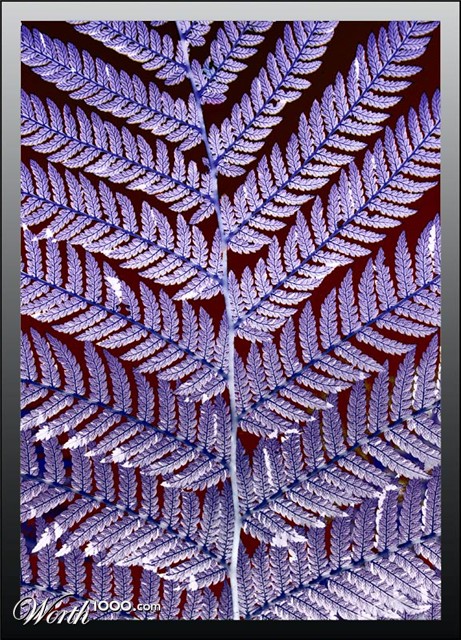 Photography by SigloV