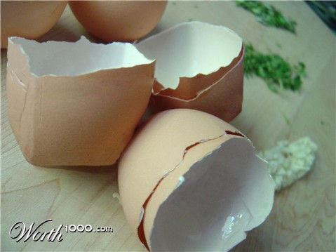 Photoshop Design by icerook